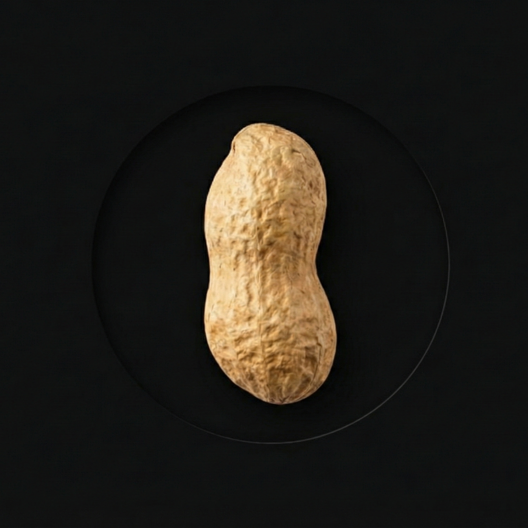 peanut.png